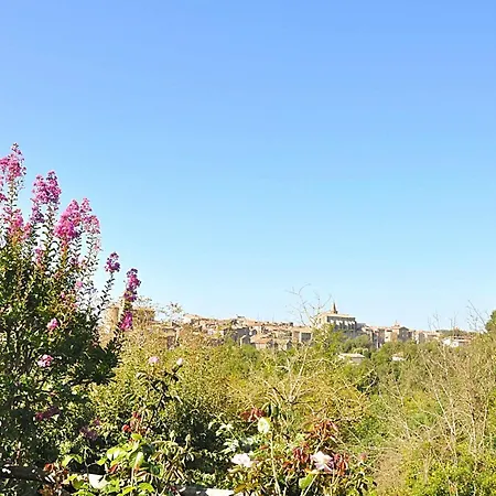 度假居 Montecasciano - Mimosa *