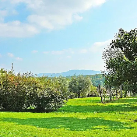 Montecasciano - Mimosa Capranica