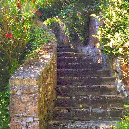 Montecasciano - Mimosa
