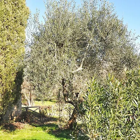 Montecasciano - Mimosa Casa de Férias *