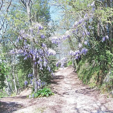 Casa de Férias Montecasciano - Mimosa Capranica