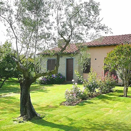 Montecasciano - Mimosa *