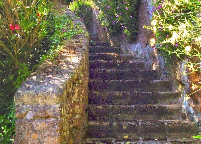 Montecasciano - Mimosa